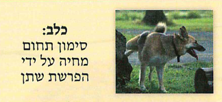 (בספר תרשים של ציוד המשימה)